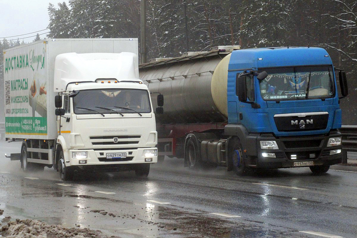 Платон в России: что изменилось за семь лет? — Авторевю